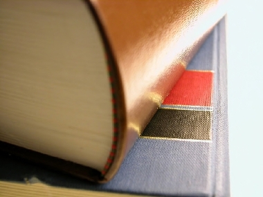 Lizenzfreies Illustrationsfoto von DataBecker